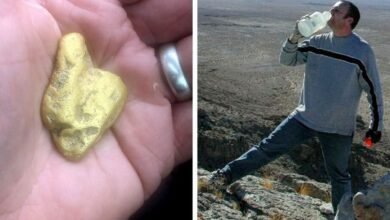 Schatzsucher mit defektem Detektor wird fündig, als er in Shropshire Hills ein 30.000-Pfund-Nugget findet